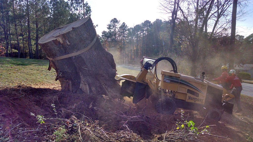 Wood removal by machine