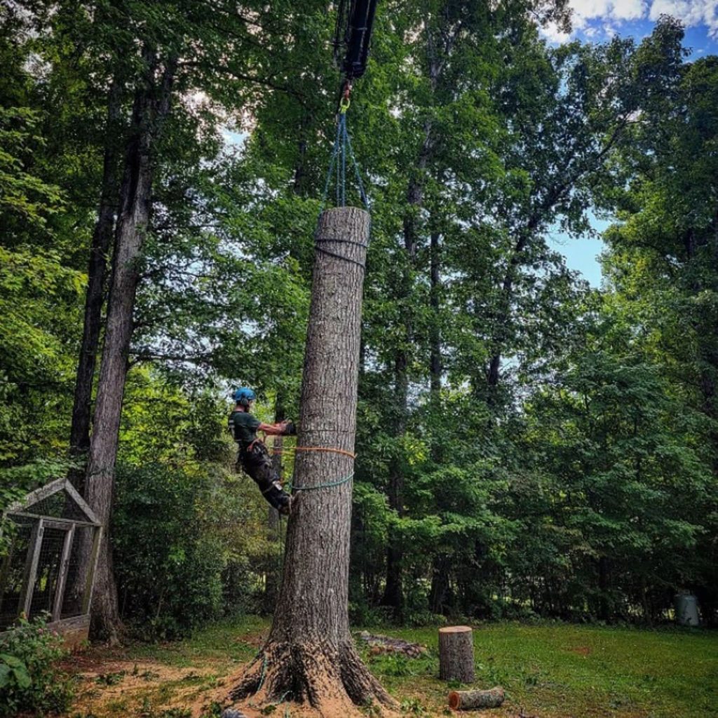 A man cuts a log with the help of a machine