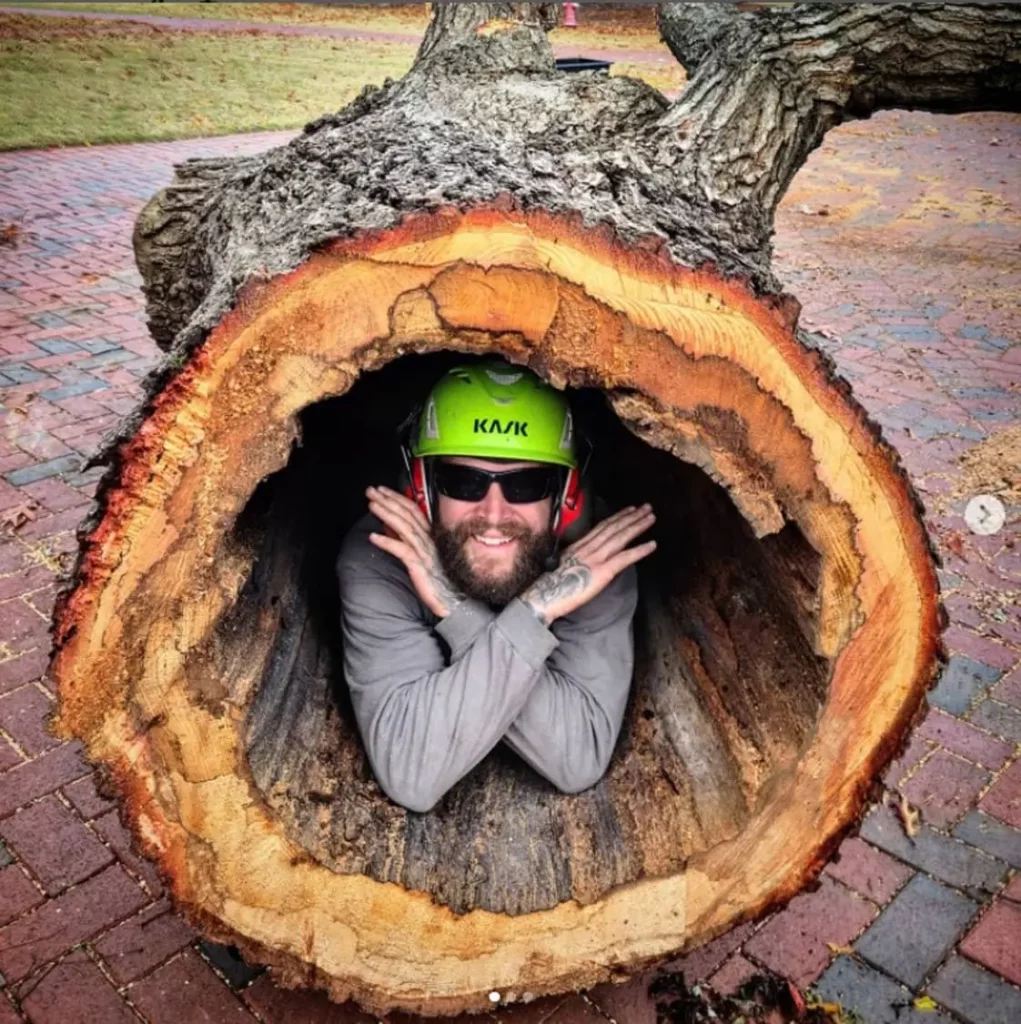 Cs tree service worker lies in a hollow tree