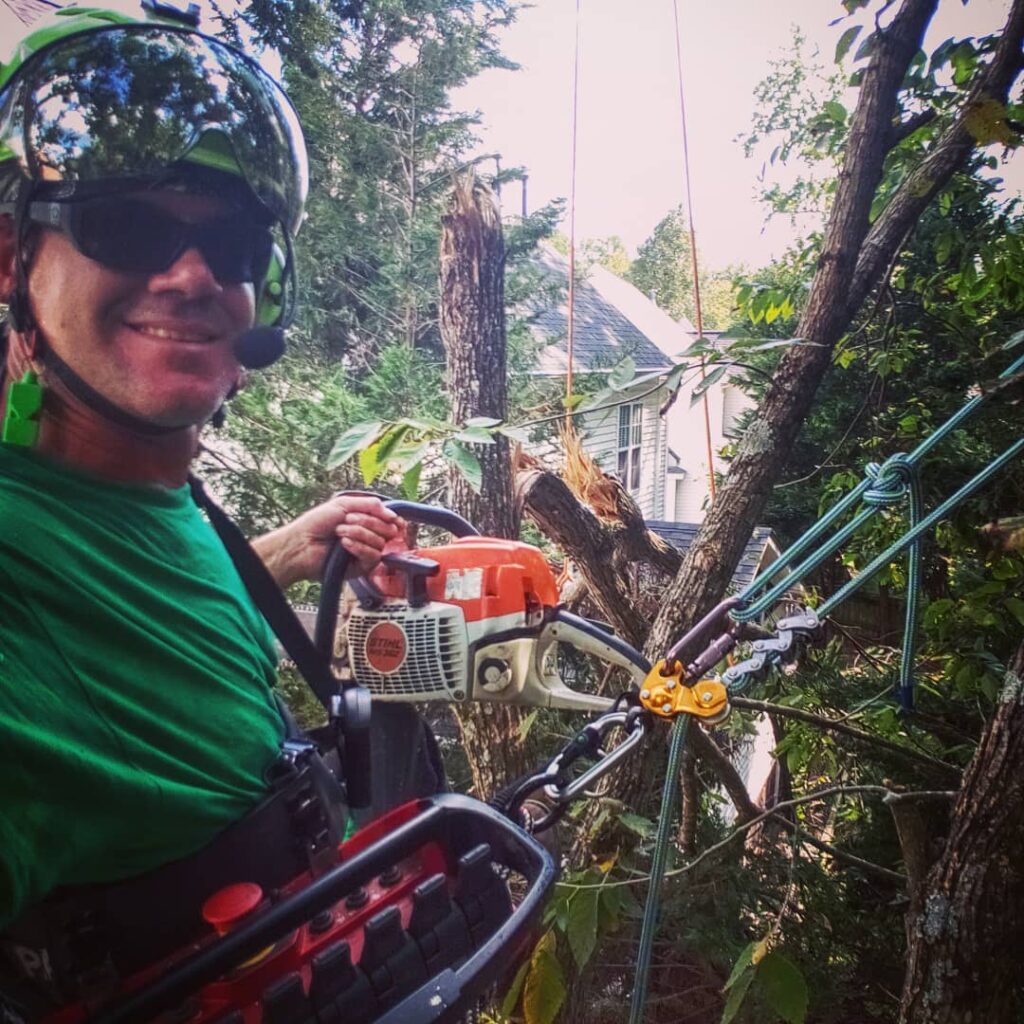 Cs tree service worker cuts a tree with a chainsaw