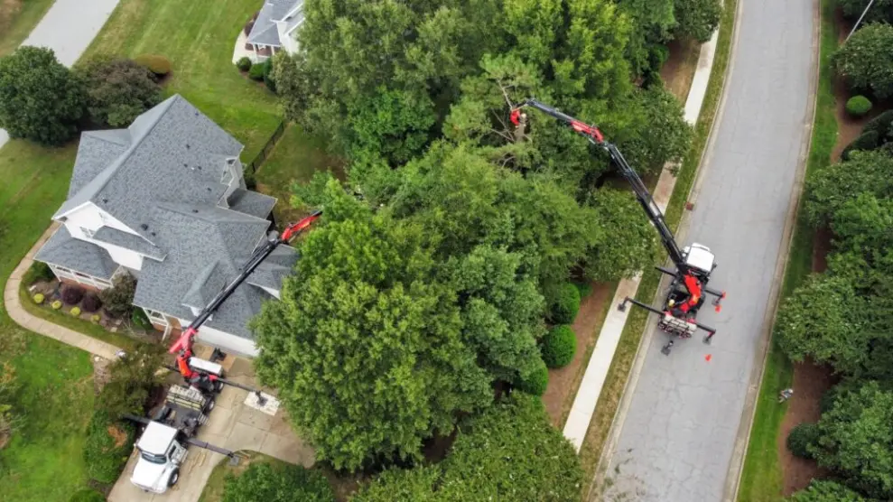 A crane is positioned near a house, assisting with tree removal in a residential neighborhood.